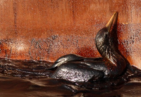 Michigan River & Gulf Oil Spills