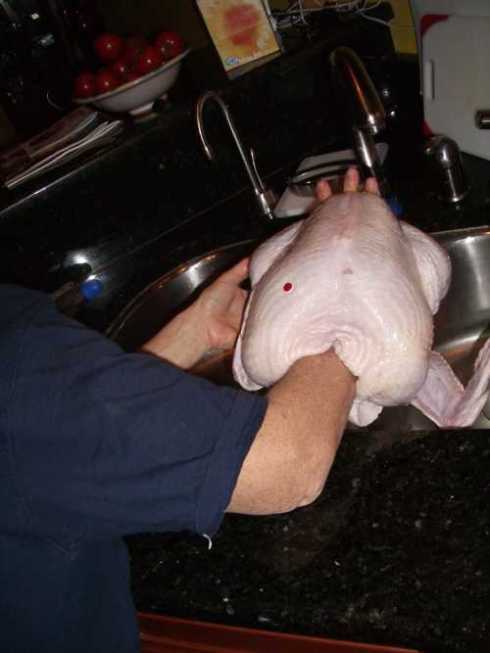 pic via ethanrand.com   turkey_glove