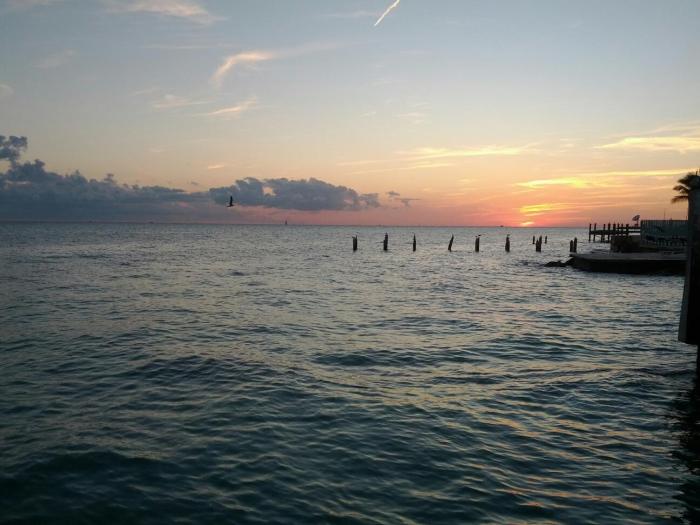 329951_10150678499609746_615699745_12337002_292088123_o