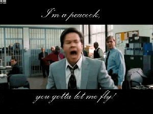 I'm a Peacock, You GOTTA LET ME FLY!!