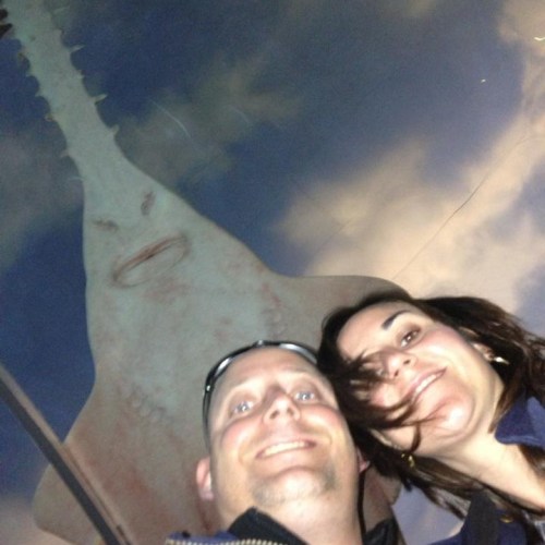 Hilarious photo bomb by a stingray!