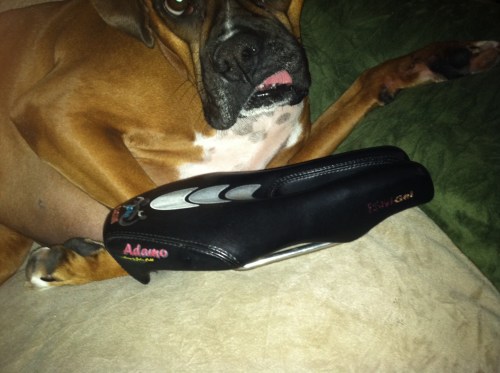 Gooch says the Adamo seat is super comfy!