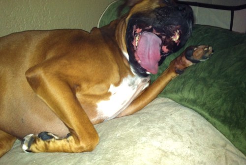 Gooch will thank you as well!!