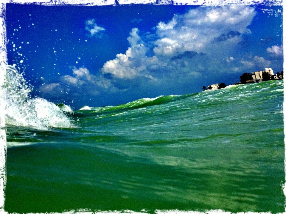 574555_10151027176767058_1456145052_n