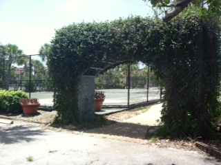 tennis arch