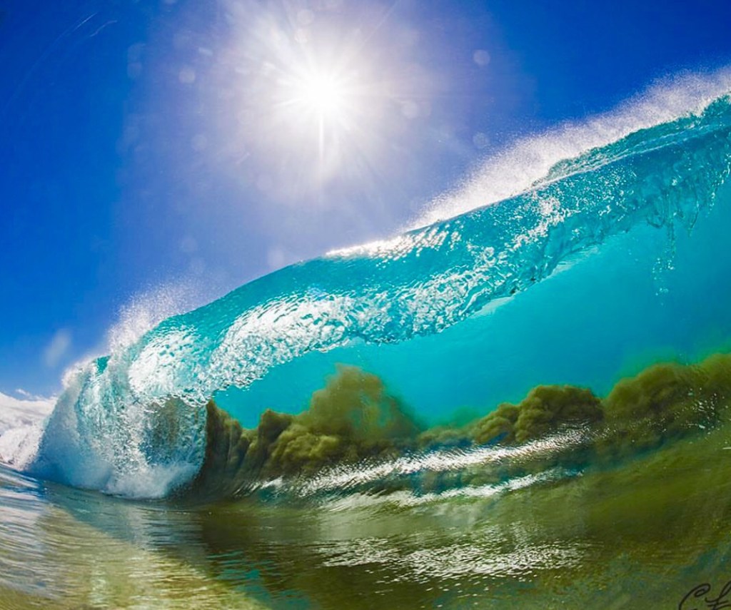 Guy Harvey Outpost is coming to an area near&nbsp;you!