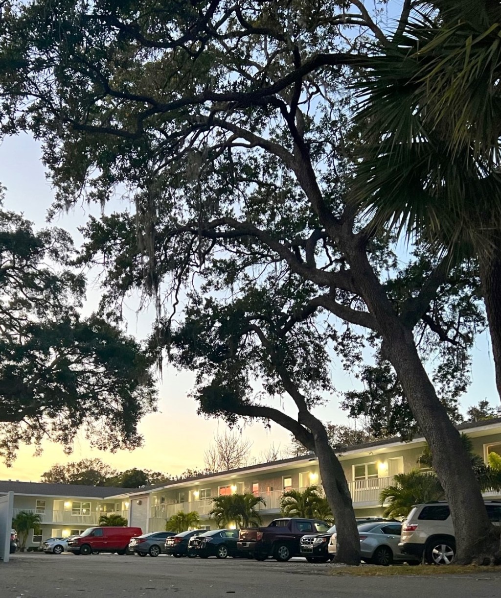 “Knowledge speaks, but wisdom listens.”- Jimi Hendrix.     Apartment List National Rent&nbsp;Report