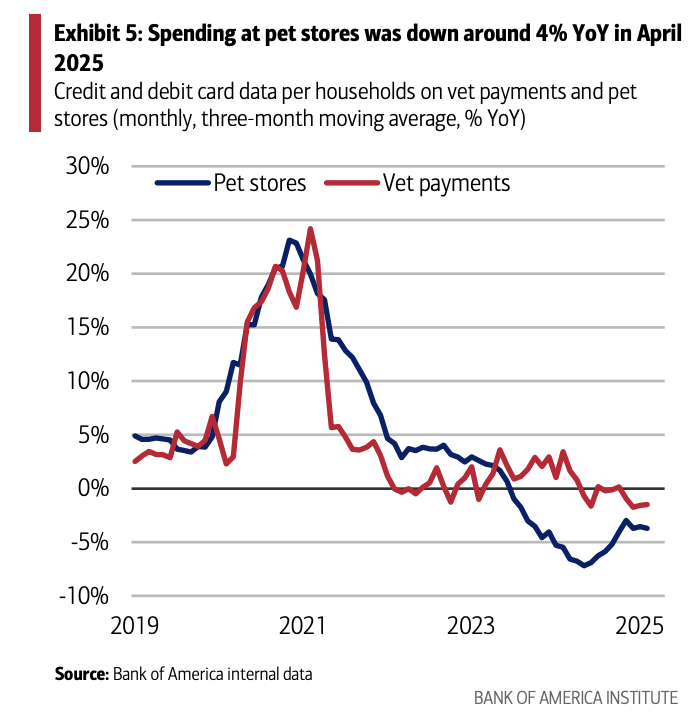 Pet spending BAC card data